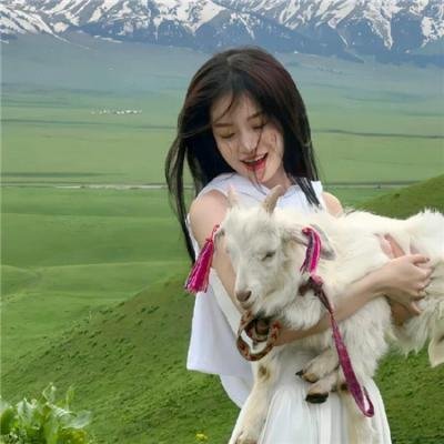 高卢英雄大战维京海盗